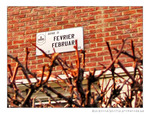 F�vrier le Beau Temps au Grenier -- 28/02/12