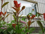 Septembre -- 28/09/12