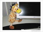 R�ves d'enfant! Tendresse - Magie -- 07/12/05
