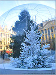 Plaisirs d'hiver 2005 -7- -- 24/12/05