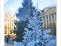 Plaisirs d'hiver 2005 -5- -- 24/12/05