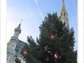 Plaisirs d'hiver 2005 -7- -- 28/12/05