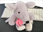 Prendre une Souris par la Main � -- 15/12/05