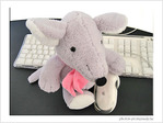 Prendre une souris par la main � -- 15/12/05