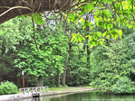 Pr�s du petit Pont -- 11/08/12