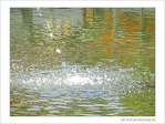 Fra�cheur estivale  -- 31/07/06