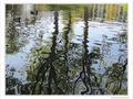 Ondulations -- 19/10/09