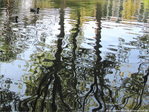 Ondulations -- 19/10/09