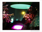 Rideaux sur les f�tes -- 06/01/08