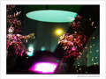 Rideaux sur les f�tes -- 06/01/08