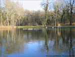 D'hiver Reflets -2- -- 31/01/05