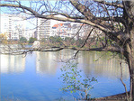 Les maisons autour de l'eau
