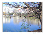 Les maisons autour de l'eau -- 22/01/06