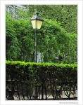 Vert tamis� -- 19/06/09