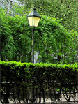 Vert tamis� -- 19/06/09