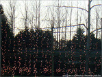 Rideaux sur 2007 -- 03/01/08