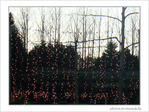 Rideaux sur 2007 -- 03/01/08