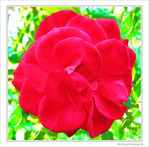 Amour ardent -- 30/09/09