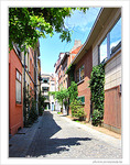 Quand une rue est un jardin -- 02/07/09