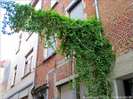 Quand le Vert est � Angle droit -- 05/07/09