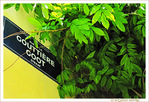 Plaque Rue de la Gouttière -- 01/07/09