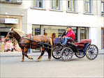 Vous m'accompagnez�? -- 31/03/05