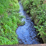 O� vas-tu, ruisselet discret�? -- 15/10/09