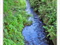 O� vas-tu, ruisselet discret�? -- 15/10/09