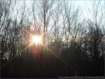Soleil d'Hiver -- 19/01/09