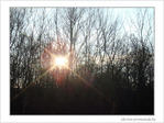 Soleil d'hiver -- 19/01/09