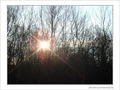 Soleil d'hiver -- 19/01/09