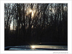 Reflets d'hiver -- 22/01/09