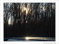 Reflets d'hiver -- 22/01/09