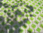 Verts losanges -- 29/07/09