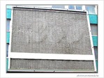 Saveurs oubli�es -- 31/01/09