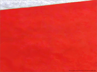 Tapis rouge