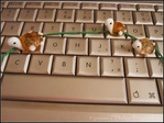 Ne perdons pas le Fil -- 01/02/11