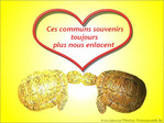 Je t'Aime plus chaque jour ... -- 14/02/05