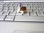 Le Petit Chapeau Violet -- 24/07/12