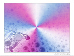 Tortue � la recherche du shampoing miracle!