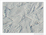 Hi�roglyphes�? -- 08/11/07