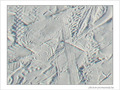 Hi�roglyphes�? -- 08/11/07