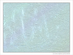 Reptilien -- 03/05/12