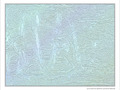 Reptilien -- 03/05/12