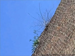 Tout l� haut ... -- 11/09/04