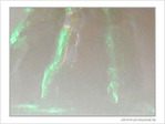 Spectre�? -- 26/05/07