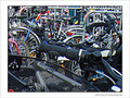 Dimanche sans v�lo! Oups!!! Sans voiture 2007 -- 25/09/07