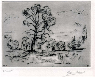 Arbres � Uccle - Verrewinkel - en 1973