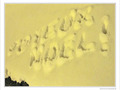 Joyeux No�l 2009 -- 24/12/09
