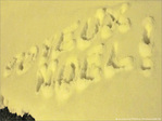 Joyeux No�l 2009 -- 24/12/09